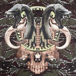 Marcelo Burlon County of Milan Snake and Skull Tee in Brown and Olive